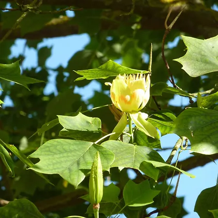 Domaine De La Hurel 3* Airan