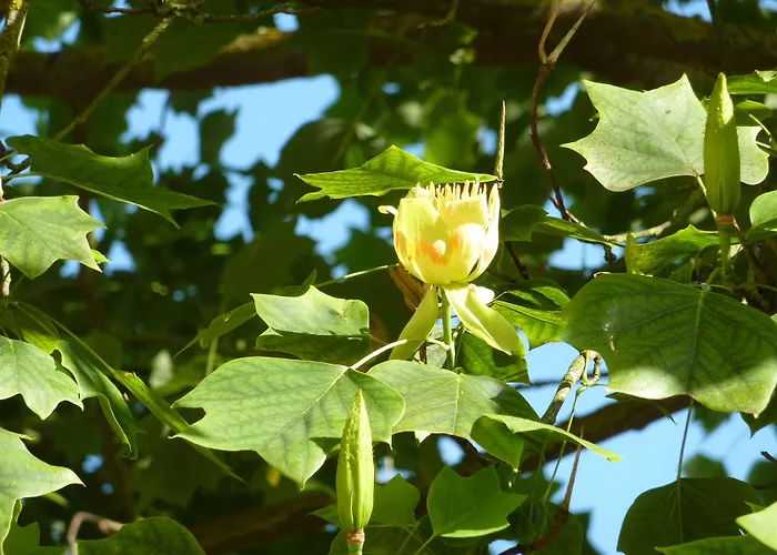 Domaine De La Hurel 3* エラン